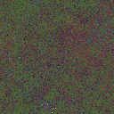 World at epoch 80000