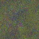 World at epoch 35000