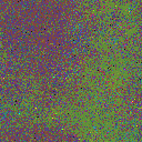 World at epoch 25000