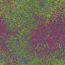 World at epoch 65000