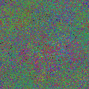 World at epoch 80000