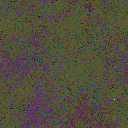 World at epoch 75000