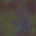 World at epoch 80000