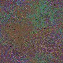 World at epoch 25000
