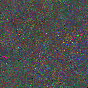 World at epoch 75000