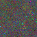 World at epoch 75000