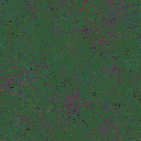 World at epoch 80000