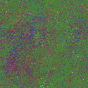 World at epoch 65000