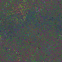 World at epoch 25000