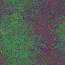 World at epoch 45000