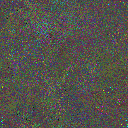 World at epoch 80000
