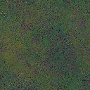 World at epoch 65000