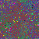 World at epoch 25000