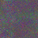 World at epoch 75000