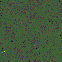 World at epoch 75000