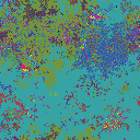 World at epoch 6000
