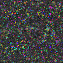 World at epoch 20000