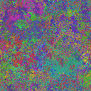 World at epoch 15000