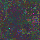World at epoch 10000