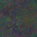 World at epoch 17000