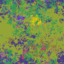 World at epoch 6000