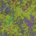 World at epoch 15000