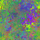 World at epoch 11000