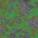 World at epoch 19000