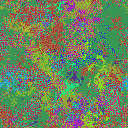 World at epoch 19000