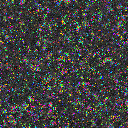 World at epoch 20000