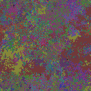 World at epoch 15000
