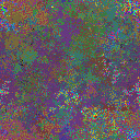 World at epoch 20000