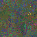 World at epoch 16000
