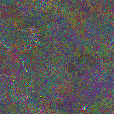 World at epoch 15000