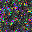 World at epoch 20000