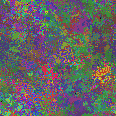 World at epoch 15000