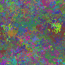 World at epoch 17000