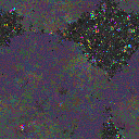 World at epoch 18800