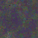 World at epoch 19000
