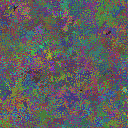 World at epoch 19000