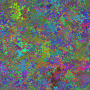 World at epoch 15000
