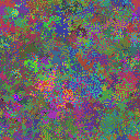 World at epoch 19000