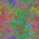 World at epoch 19000