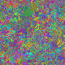 World at epoch 6000