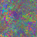 World at epoch 19000