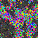 World at epoch 19000