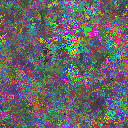 World at epoch 5000
