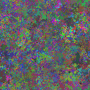 World at epoch 10000