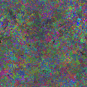 World at epoch 11000