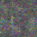 World at epoch 14000